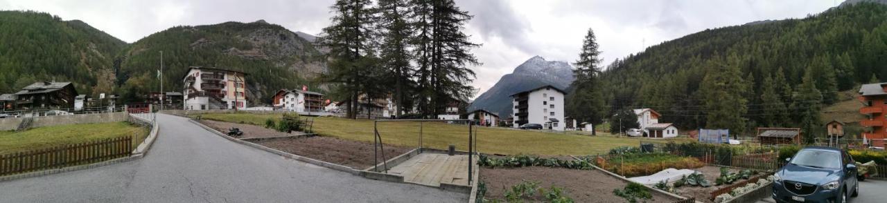 Apartment Alpenblick Saas-Grund Exterior foto